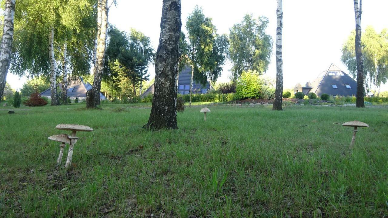 Tudobrze Noclegi W Piramidach Borzytuchom Exterior foto